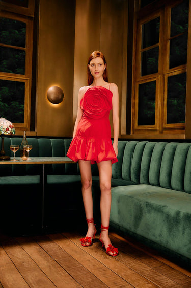 Red Baloon Mini Dress - Cedar & Lily Clothier