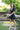 BTB - Cedar & Lily Clothier