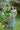 Lace the Label - Cedar & Lily Clothier