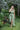 Anabella Dress - Cedar & Lily Clothier