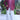 Arielle Crepe Blazer - Cedar & Lily Clothier
