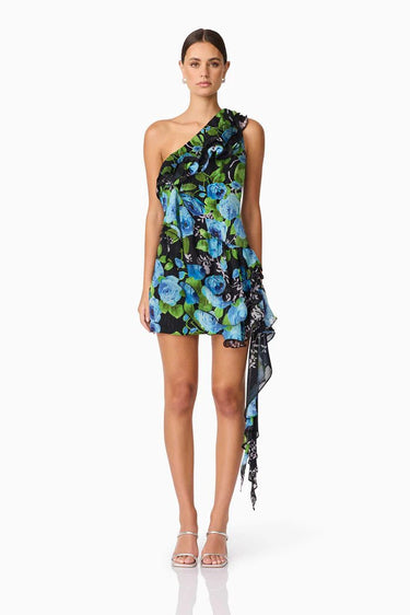 Briony Mini Dress - Cedar & Lily Clothier