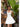 Caracas Mini Dress - Cedar & Lily Clothier