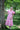 Eden Dress - Cedar & Lily Clothier