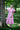 Eden Dress - Cedar & Lily Clothier