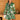 Kasia - Kyveli Mini Dress - Cedar & Lily Clothier