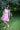 LACE the Label - M8489 Dress - Cedar & Lily Clothier