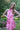 Myra Mini Dress - Cedar & Lily Clothier