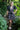 Ortenncia Dress - Cedar & Lily Clothier