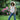 Paige - Harper 30" W/ Utility + Cargo Pockets - Cedar & Lily Clothier