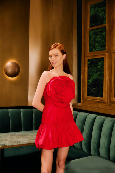 Red Baloon Mini Dress - Cedar & Lily Clothier