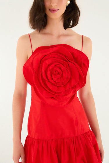 Red Baloon Mini Dress - Cedar & Lily Clothier