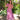 Rosie Maxi Dress - Cedar & Lily Clothier