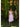 Sotavento Top - Cedar & Lily Clothier