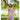 Sylvie Midi Dress - Cedar & Lily Clothier