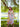 Sylvie Midi Dress - Cedar & Lily Clothier