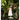 Veneta Dress - Cedar & Lily Clothier